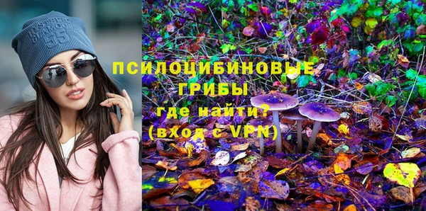 амф Гусев