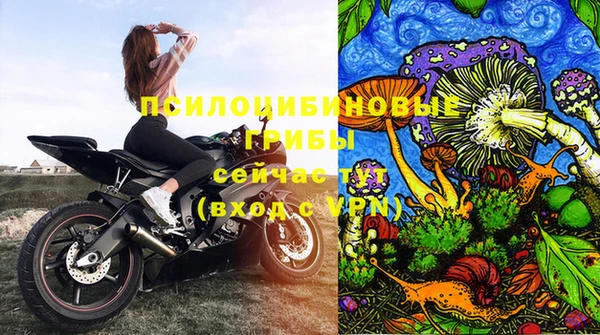 Альфа ПВП Вяземский