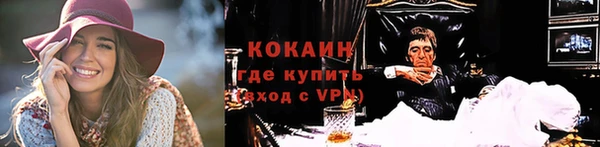 амф Гусев