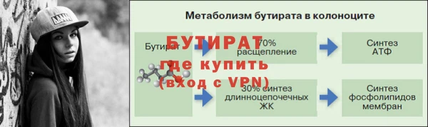 амф Гусев