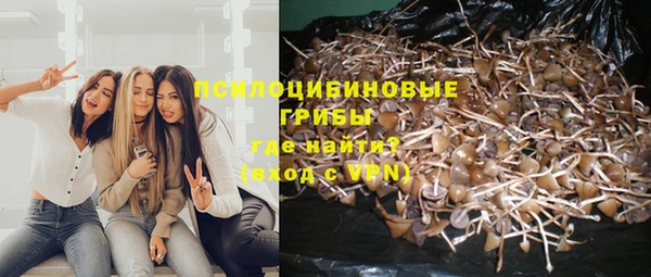 гидропоника Болотное