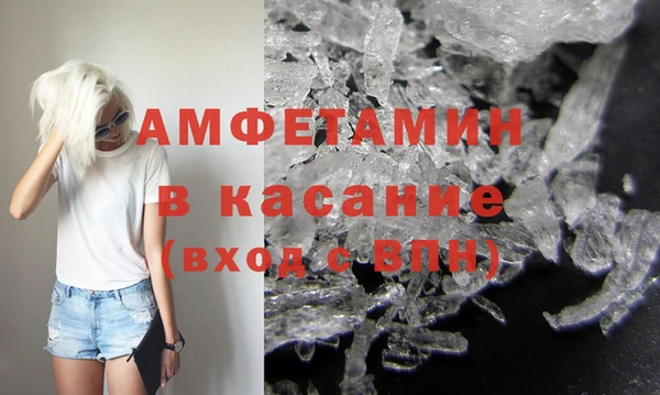 амф Гусев