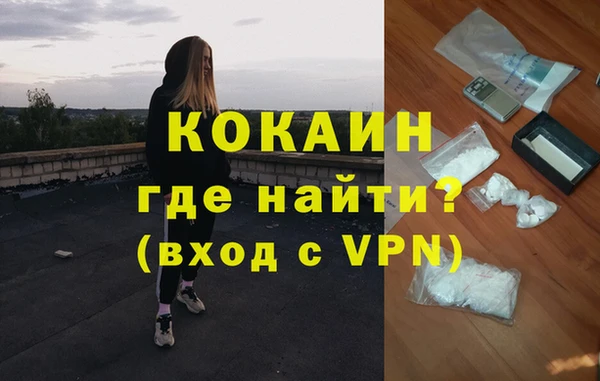 амф Гусев