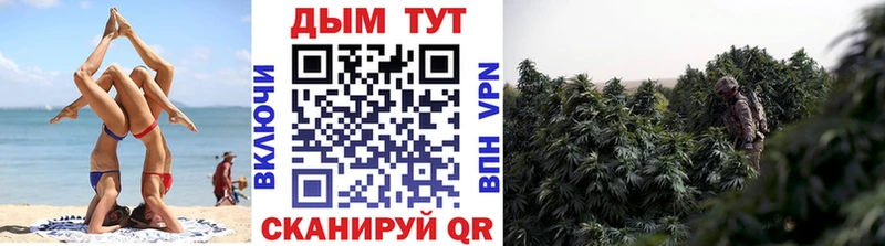 Марихуана ГИДРОПОН  как найти наркотики  Долинск 